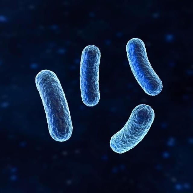 Does bacteria grow in water bottles?